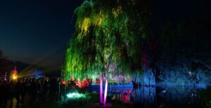 Abendfahrt zur Lichternacht